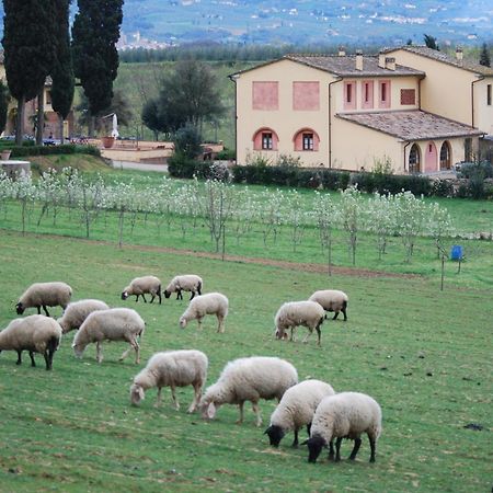 Agriturismo Fattoria Rozzalupi チェッレート・グイーディ エクステリア 写真