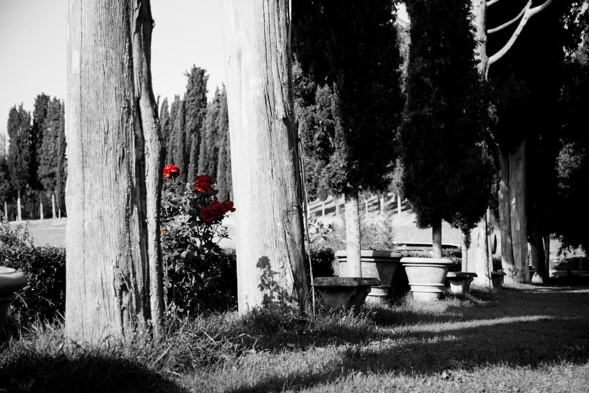 Agriturismo Fattoria Rozzalupi チェッレート・グイーディ エクステリア 写真