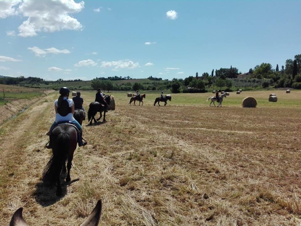 Agriturismo Fattoria Rozzalupi チェッレート・グイーディ エクステリア 写真